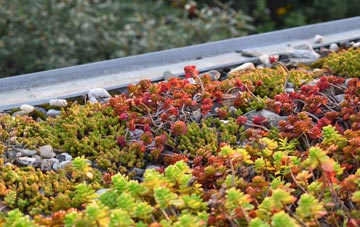 the cost of Green Parlour green roof installation