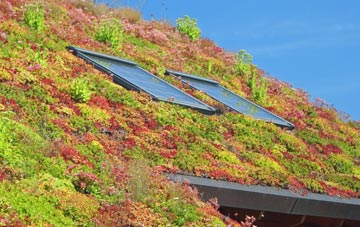 Green Parlour living roof systems