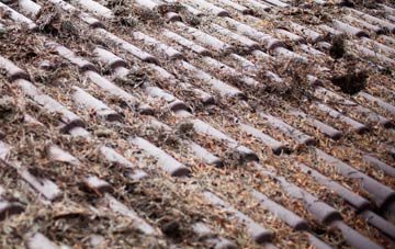 Green Parlour roof cleaning companies