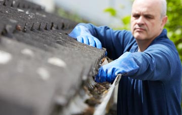 cleaning and inspecting Green Parlour roofs